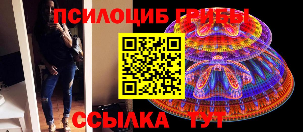 Галлюциногенные грибы Cubensis Мурманск